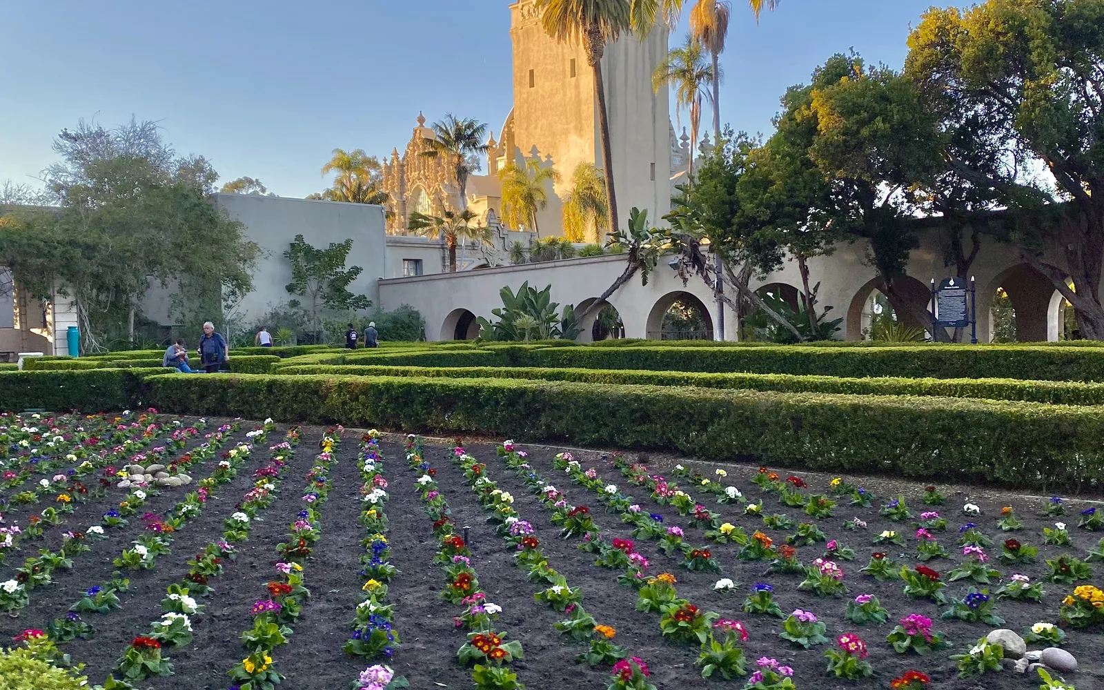 The California Tower and botanical gardens at Balboa Park with flowers and greenery